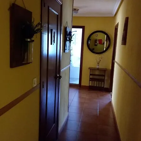 Pisos De Pin