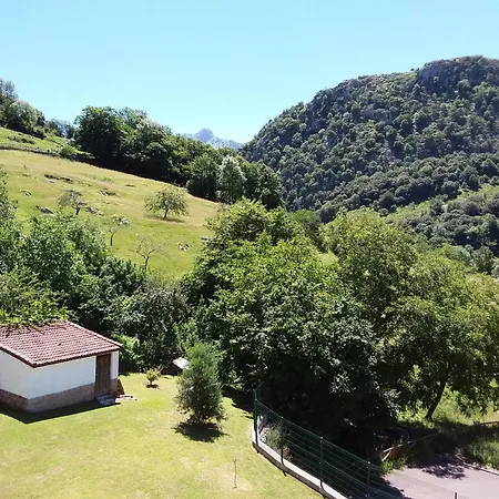 Pisos De Pin Carrena de Cabrales